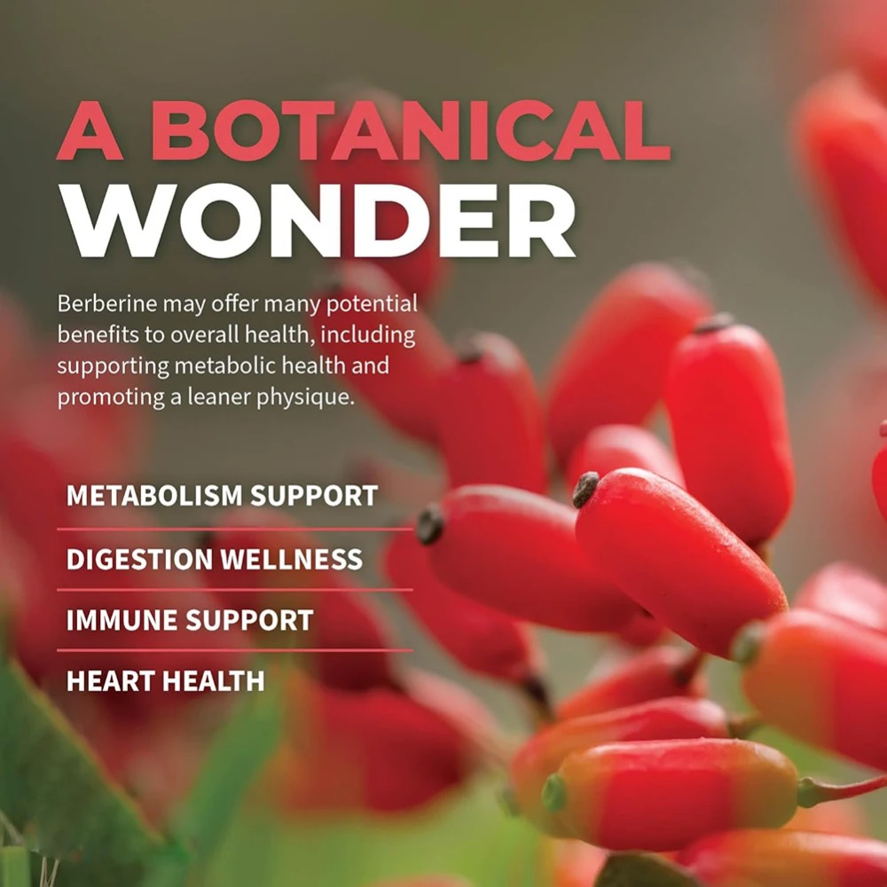 Berberine HCl with Ceylon Cinn - Berberine Hcl Capsule recension och pris