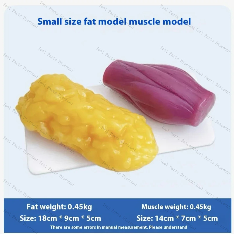 Human Muscle Replicas Weight L - Nutrition Fitness Center recension och pris