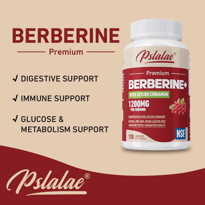 Berberine - Antioxidant, Suppo - Berberine Hcl Capsule recension och pris