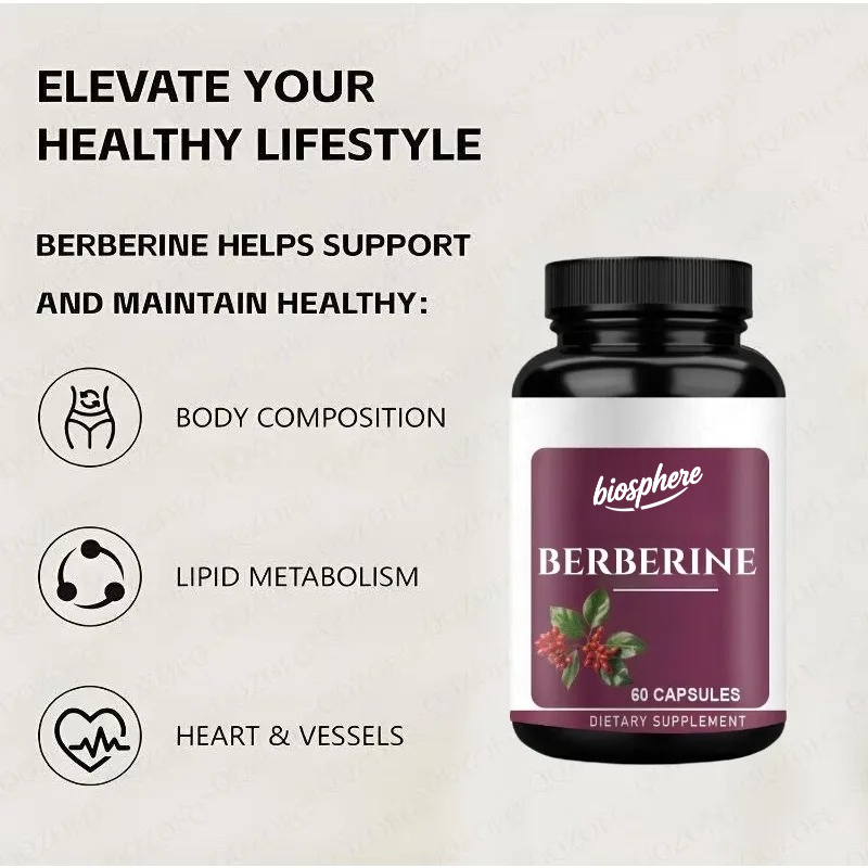 Berberine Supplement-60 vegeta - Berberine Hcl Capsule recension och pris
